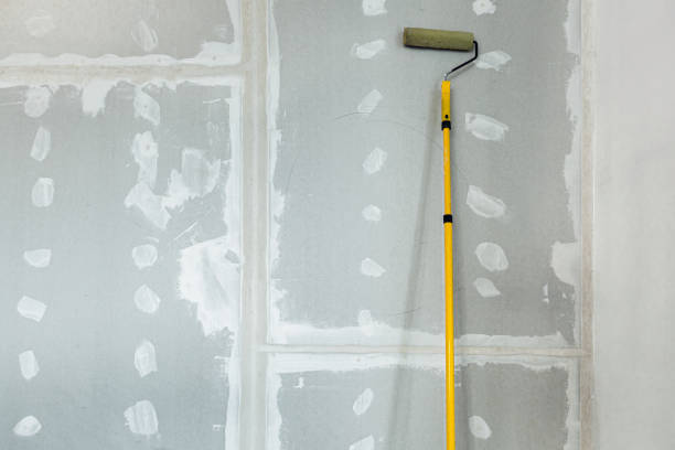 Reliable Jersey City, NJ Mold Removal Solutions